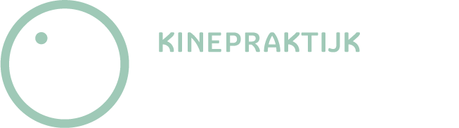 Ben Wynendaele